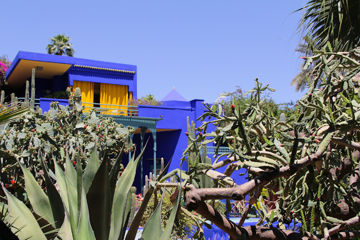 majorelle05