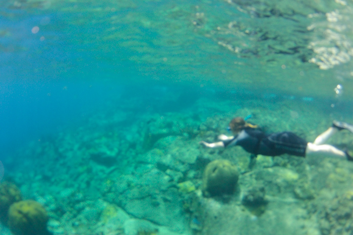 DCIM100GOPRO
