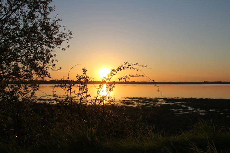 WBZH_lumieregolfemorbihan06