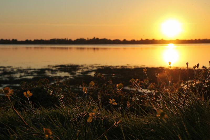 La Lumière Du Golfe Du Morbihan Coucher De Soleil Sur La