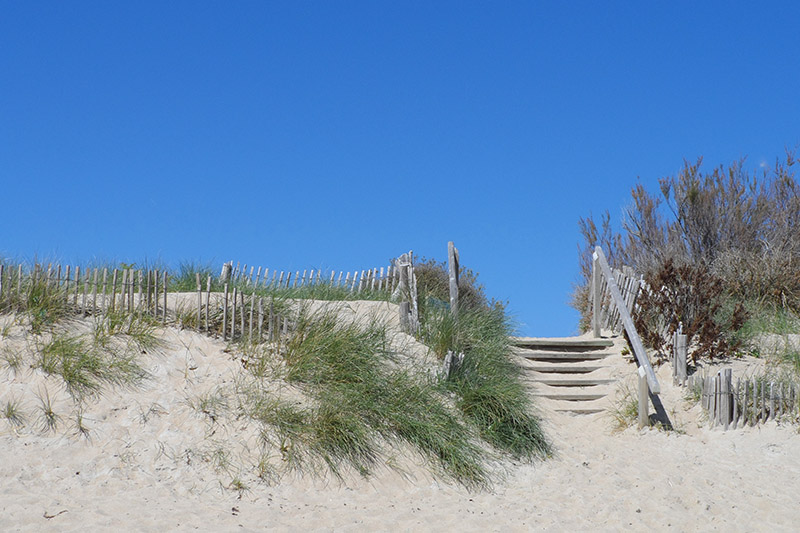 Mes 5 Plages Préférées Autour De Vannes Morbihan Bretagne