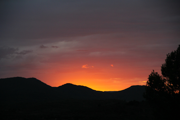 corbieres2014_03