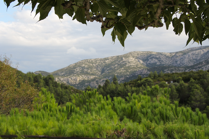 corbieres2014_13
