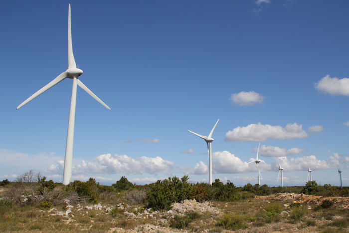 corbieres2014_26