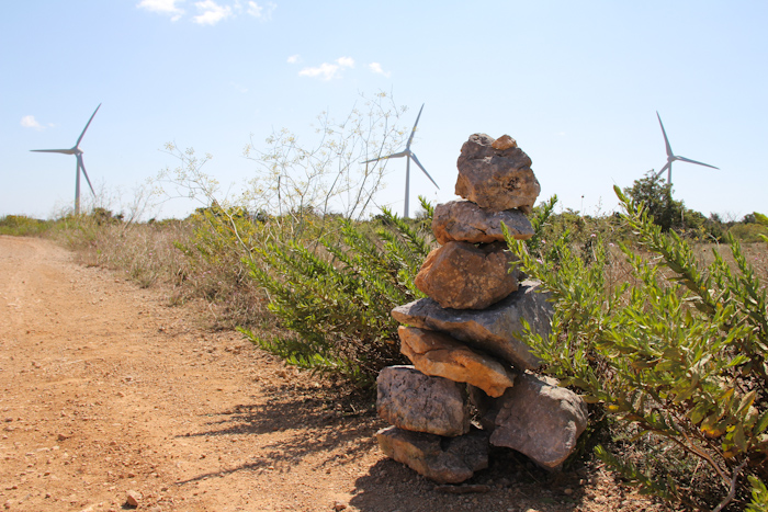 corbieres2014_27