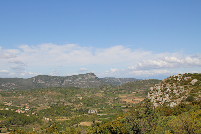 corbieres2014_29