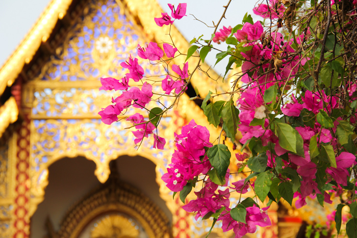 chiangmai_wat24