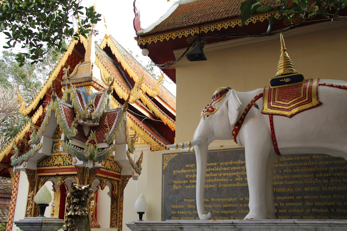 chiangmai_wat26