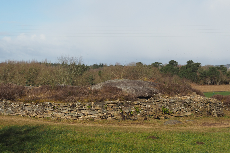 site mégalithique de Larcuste - Colpo