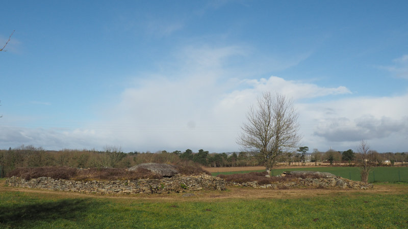 site mégalithique de Larcuste - Colpo