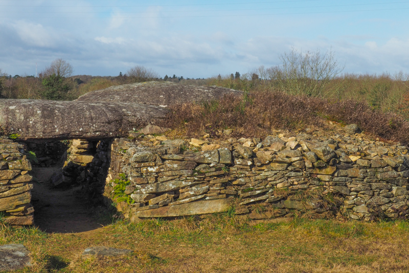 site mégalithique de Larcuste - Colpo