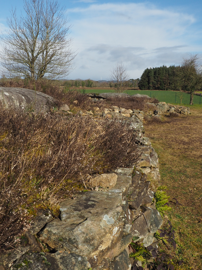 site mégalithique de Larcuste - Colpo