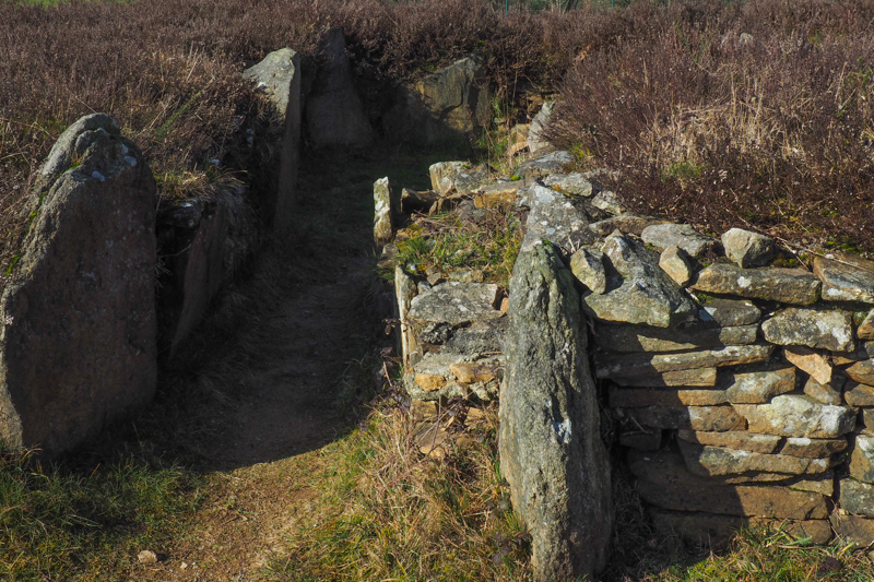 site mégalithique de Larcuste - Colpo