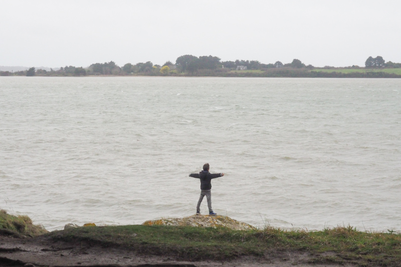 la mer en hiver - montsarrac golfe du morbihan