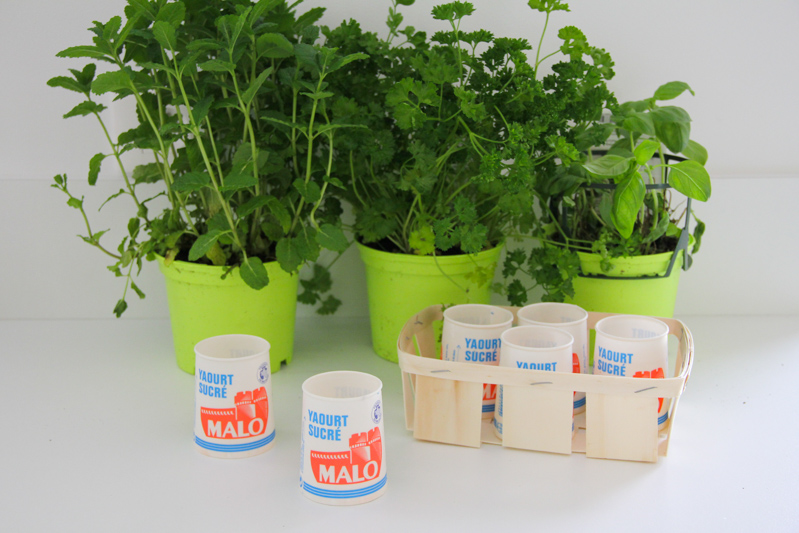 DIY jardin aromatique d'intérieur