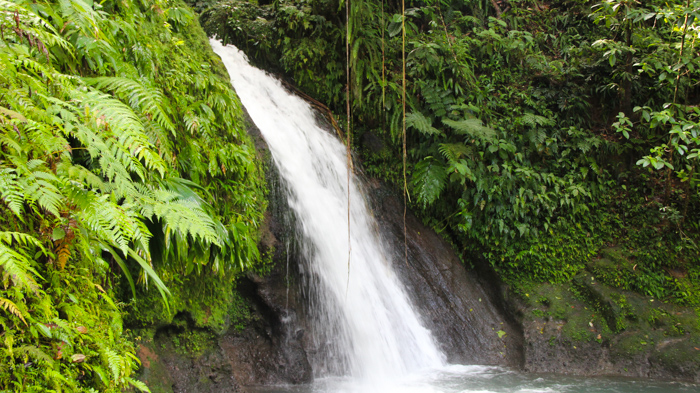 gwada2014_basseterre02