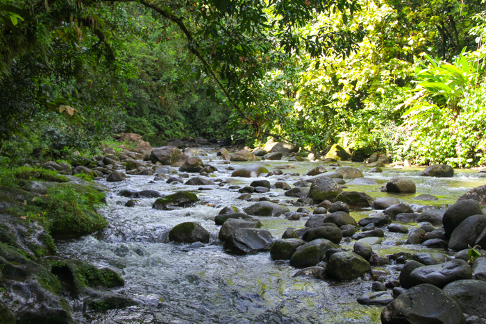 gwada2014_basseterre04