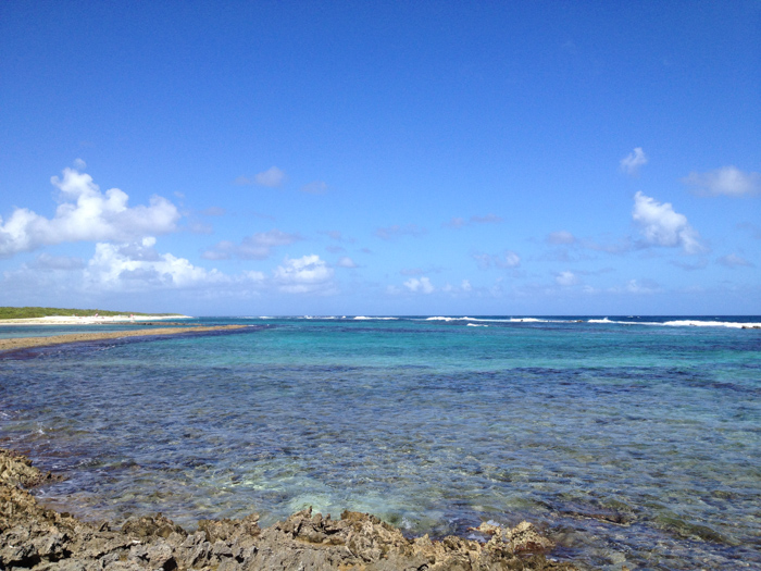 Guadeloupe - Grande Terre - Pointe des Châteaux