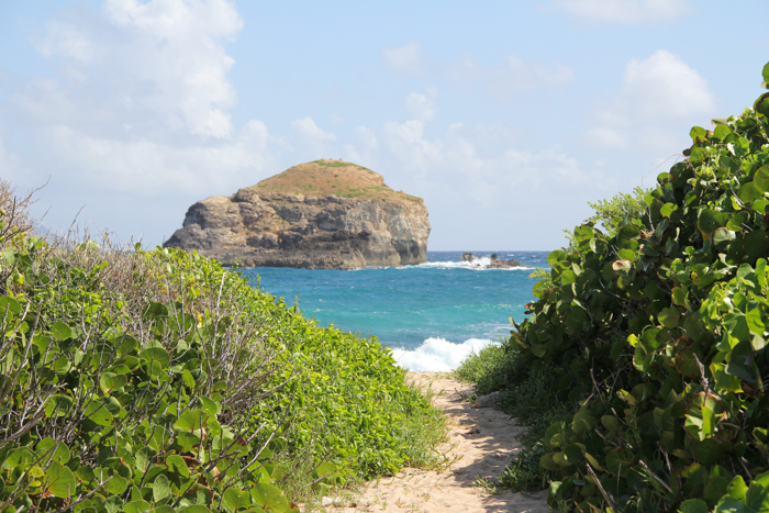 Guadeloupe - Grande Terre - Pointe des Châteaux