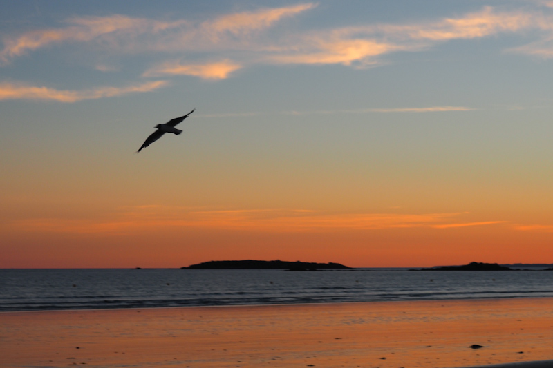 sunset - coucher de soleil Eredeven