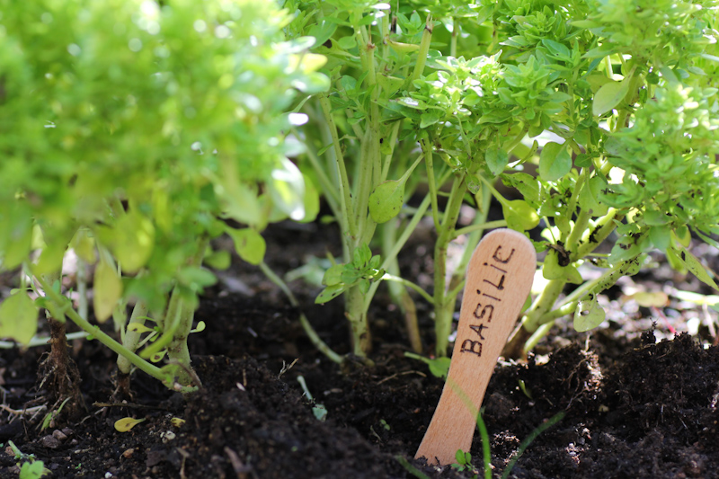 DIY étiquettes jardin aromatique pyrogravées (via mercipourlechocolat.fr)