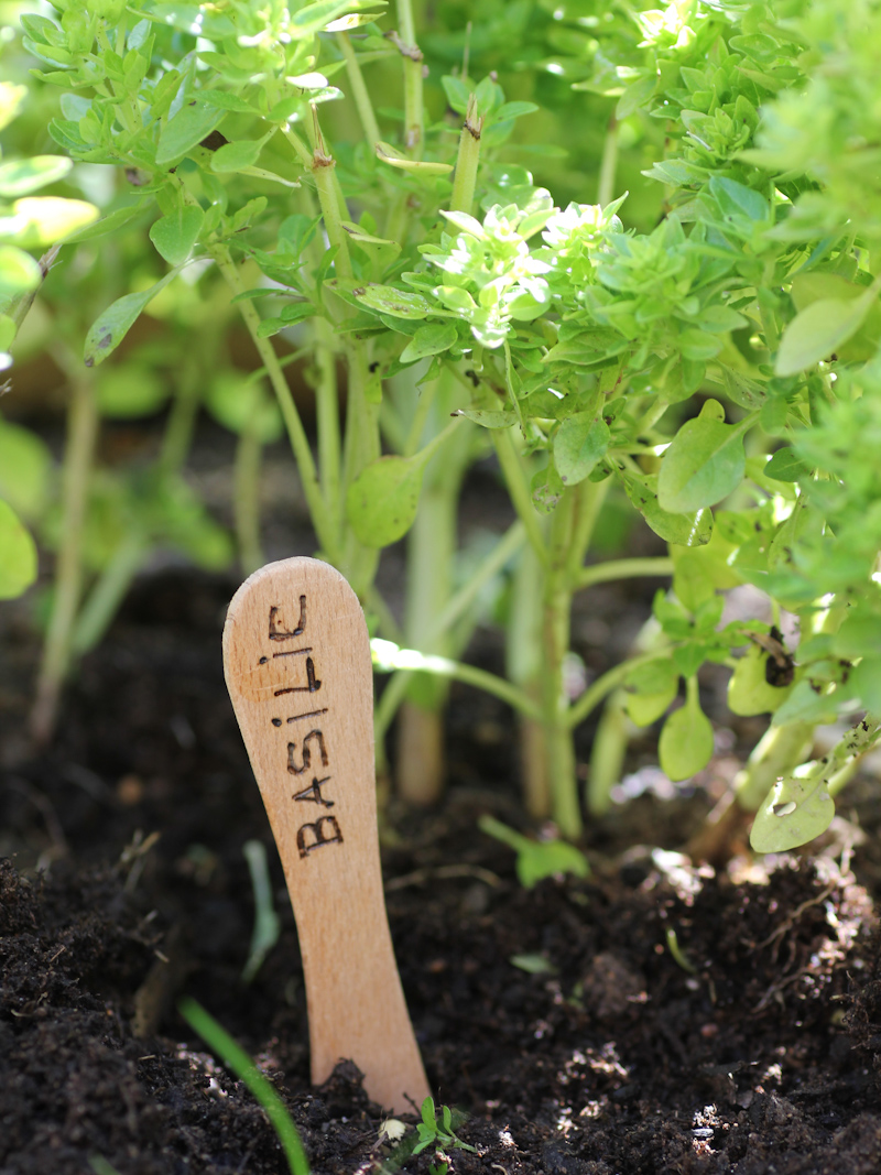 DIY étiquettes jardin aromatique pyrogravées (via mercipourlechocolat.fr)