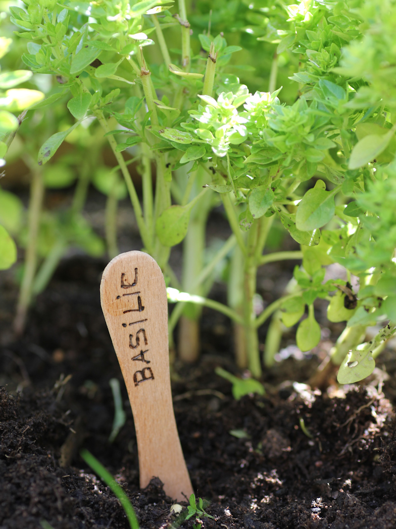 DIY étiquettes jardin aromatique pyrogravées (via mercipourlechocolat.fr)