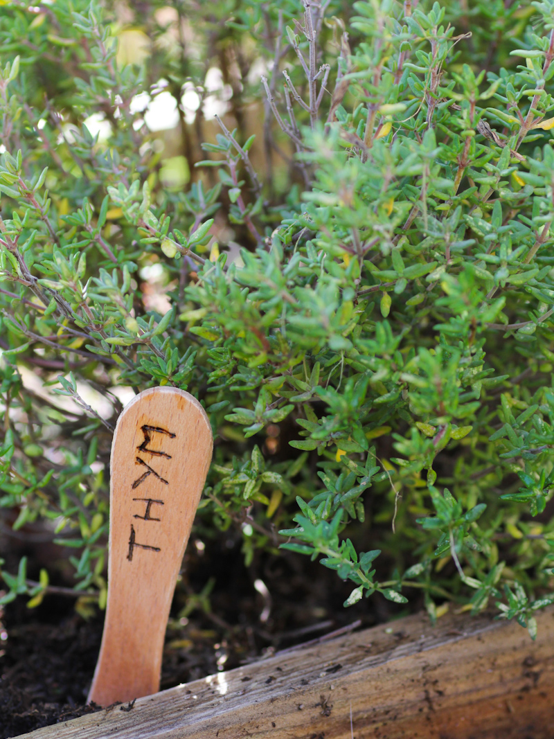 DIY étiquettes jardin aromatique pyrogravées (via mercipourlechocolat.fr)