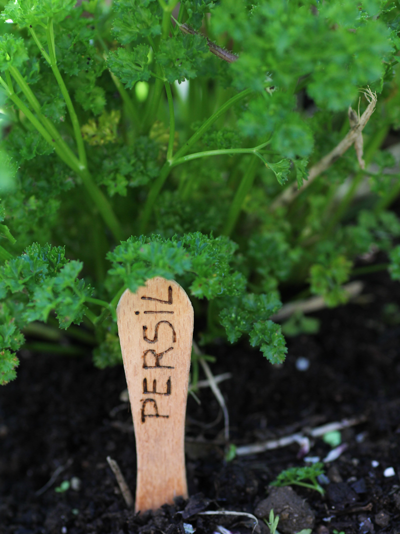 DIY étiquettes jardin aromatique pyrogravées (via mercipourlechocolat.fr)