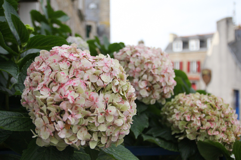 Concarneau, ville close - Bretagne, Finistère (via wonderfulbreizh.fr)