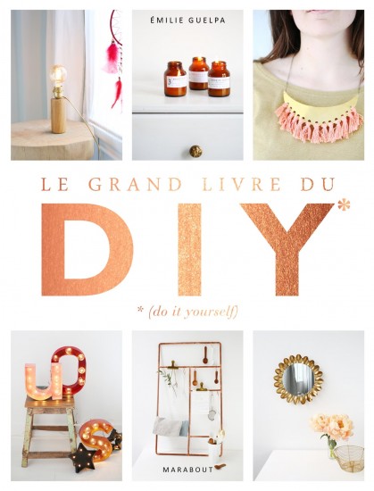 legrandlivredesDIY_emilieguelpa