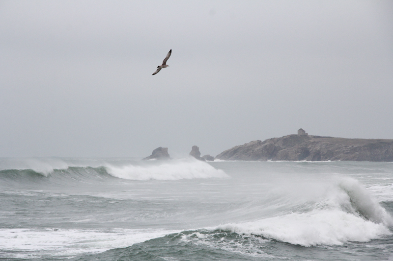 Côte Sauvage de Quiberon en hiver (via wonderfulbreizh.fr) - Bretagne, France 