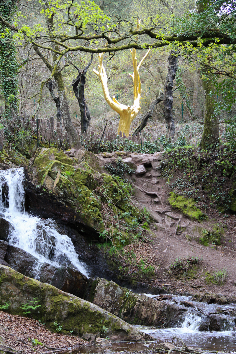 L'Arbre d'Or, forêt de Brocéliande (via wonderfulbreizh.fr)
