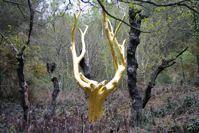 L'Arbre d'Or, forêt de Brocéliande (via wonderfulbreizh.fr)