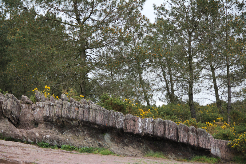 Le Val sans Retour, forêt de Brocéliande, Tréhorenteuc (via wonderfulbreizh.fr)