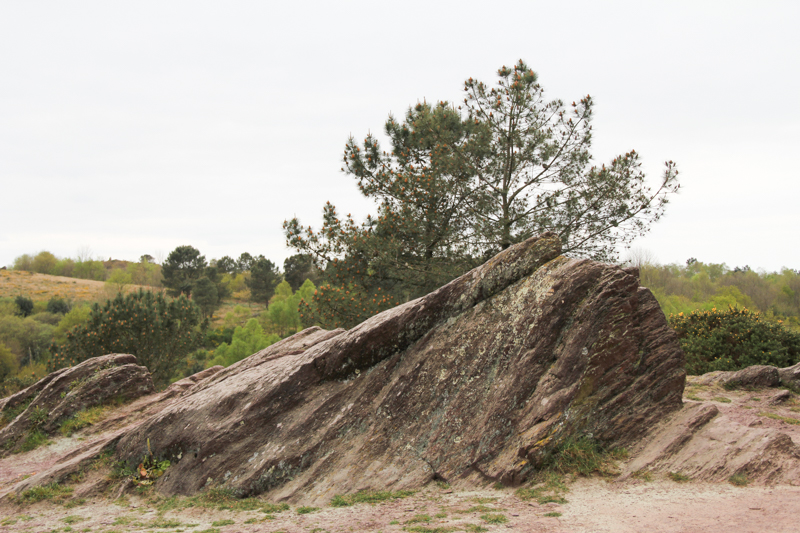 Le Val sans Retour, forêt de Brocéliande, Tréhorenteuc (via wonderfulbreizh.fr)