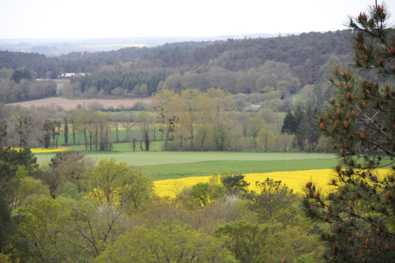 Le Val sans Retour, forêt de Brocéliande, Tréhorenteuc (via wonderfulbreizh.fr)