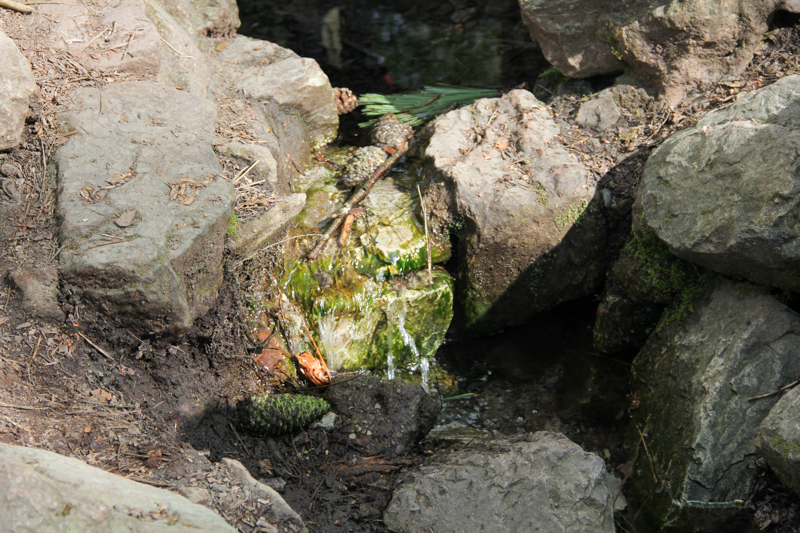 La Fontaine de Barenton, forêt de Brocéliande (via wonderfulbreizh.fr)