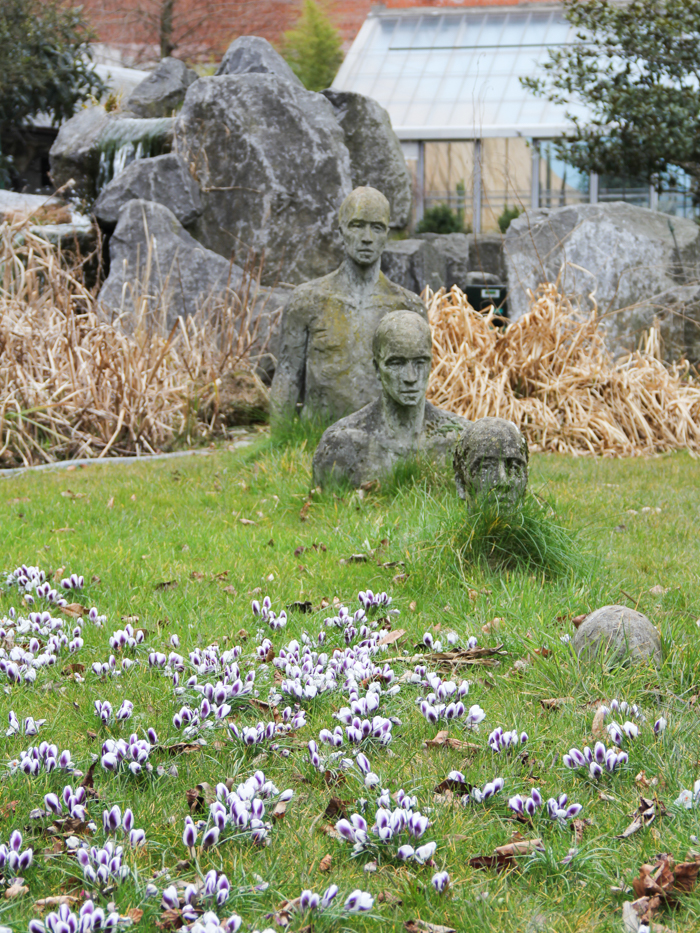 jardin botanique Anvers Antwerp