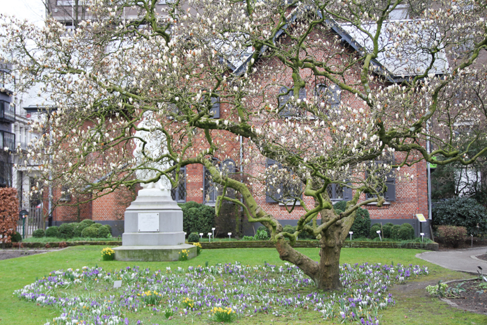 jardin botanique Anvers Antwerp