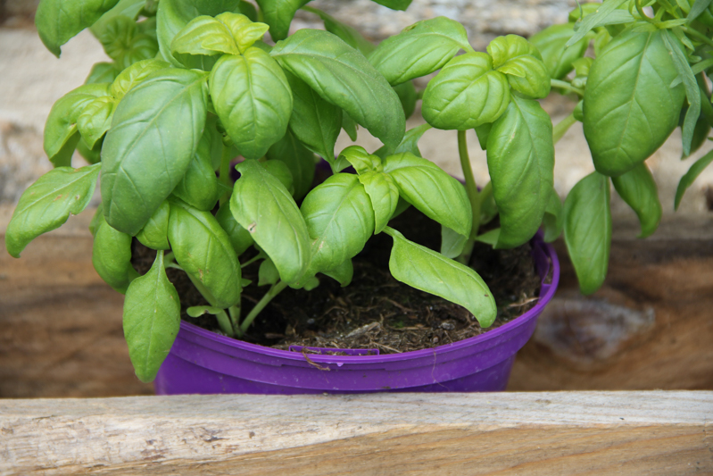 DIY 100% récup : palette jardinière (via wonderfulbreizh.fr)