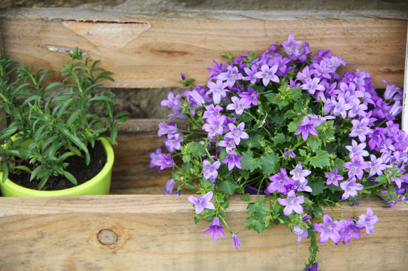 DIY 100% récup : palette jardinière (via wonderfulbreizh.fr)