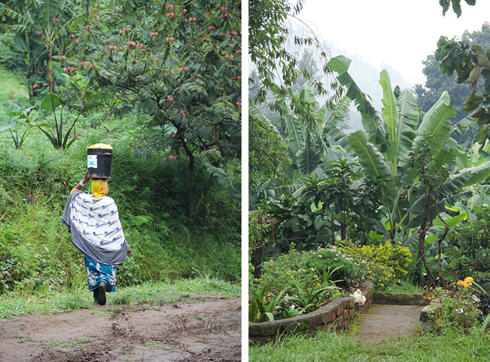 N'Giresi, Arusha, Tanzanie