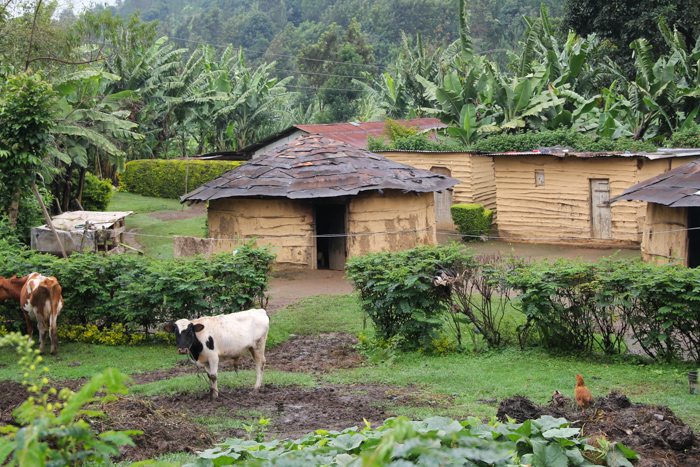 N'Giresi, Arusha, Tanzanie