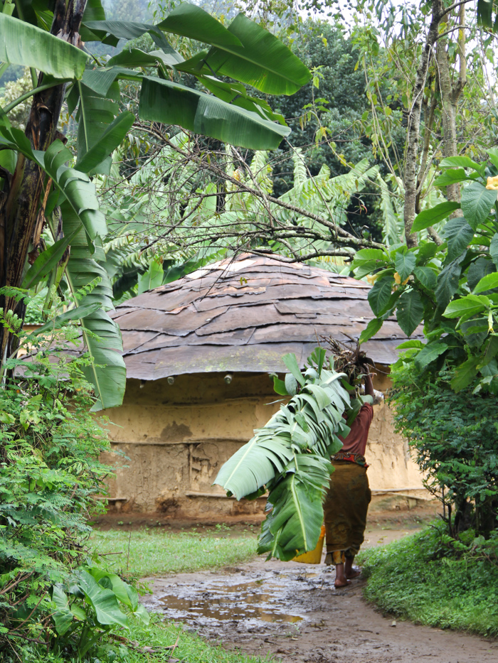 N'Giresi, Arusha, Tanzanie