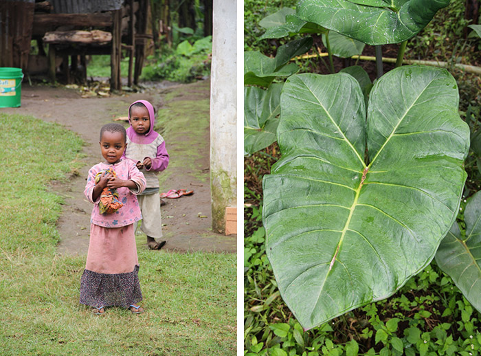 N'Giresi, Arusha, Tanzanie