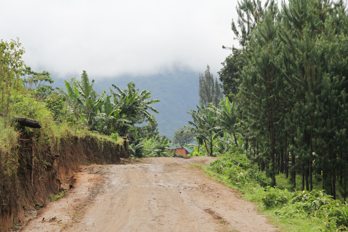 N'Giresi, Arusha, Tanzanie