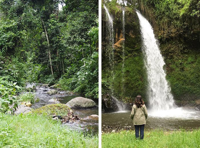 Chutes Songota, Arusha, Tanzanie