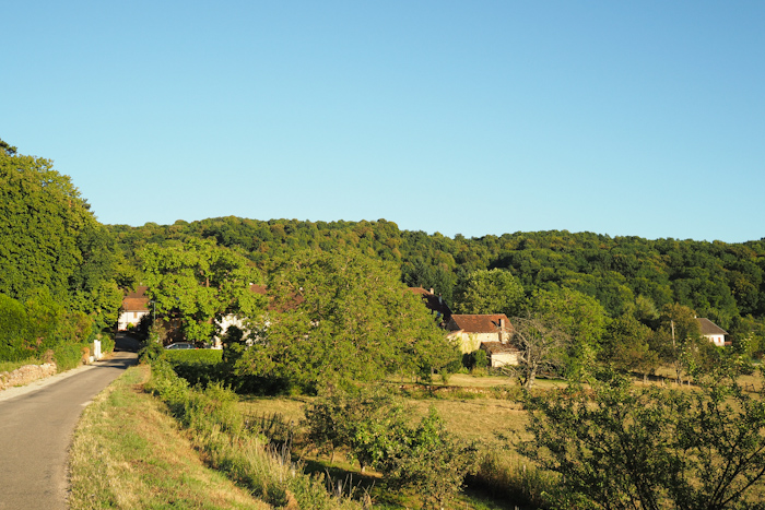 Jura - dans les vignes