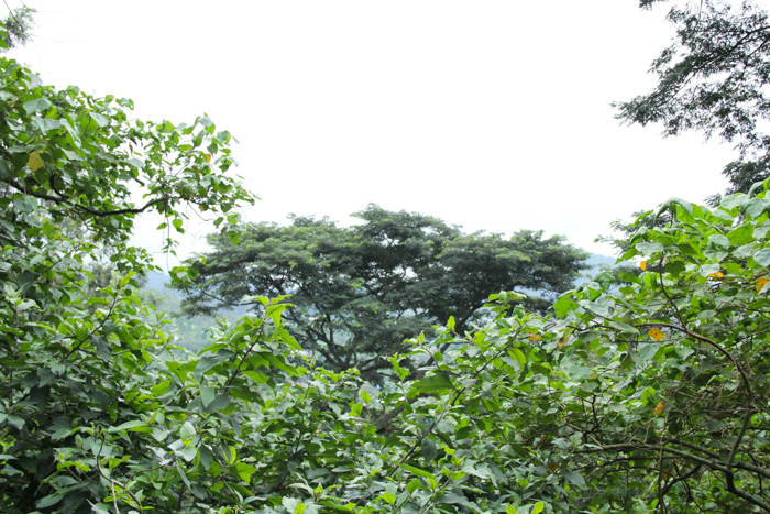 Karama Lodge à Arusha, Tanzanie